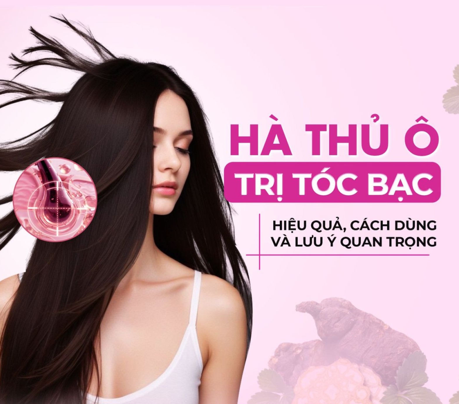 Hà Thủ Ô trị tóc bạc: Hiệu quả, cách dùng và lưu ý quan trọng
