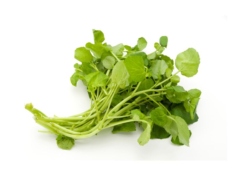 Thực phẩm giúp trẻ hóa làn da