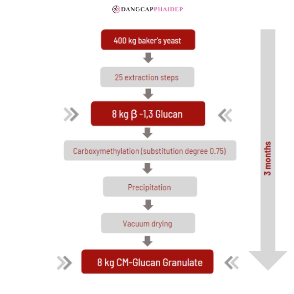 Giai đoạn tinh tế ra CM-Glucan phải kéo dài trong 3 tháng.