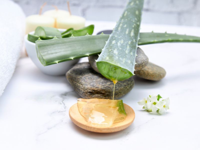 cách làm nha đam đắp mặt trắng da