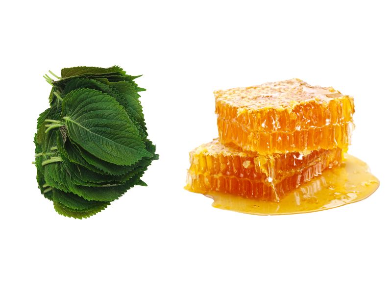 cách làm trắng da bằng tía tô