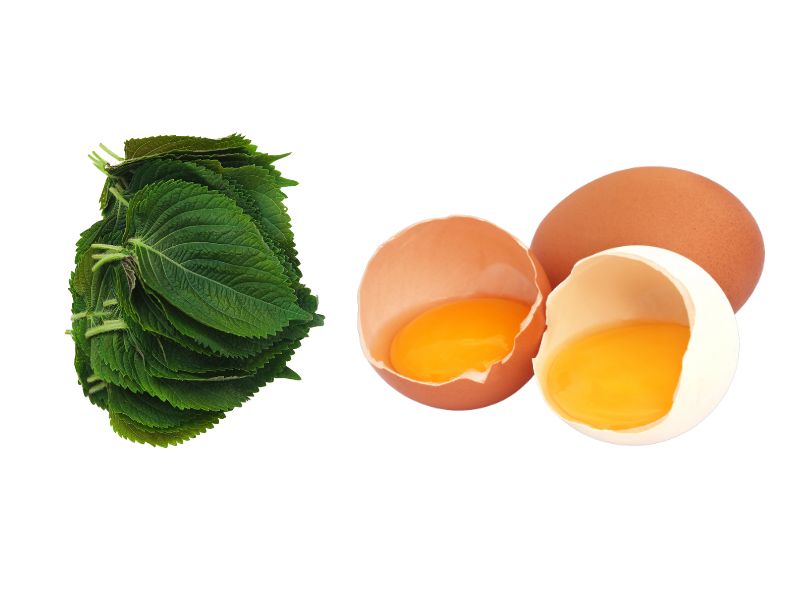 cách làm mặt nạ lá tía tô