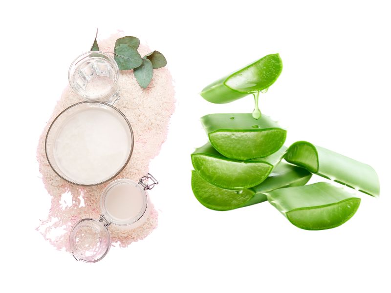 cách làm trắng da tại nhà bằng nước vo gạo