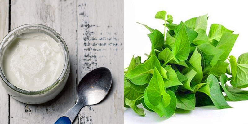 Mặt nạ trắng da từ bột rau diếp cá sữa chua