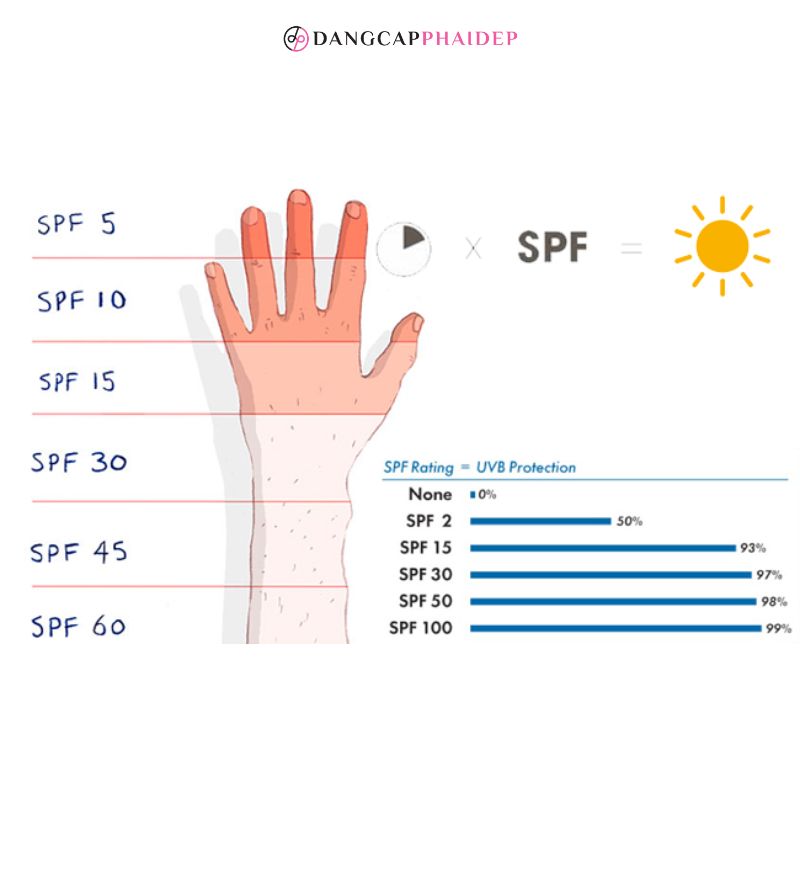 Chỉ số SPF là định mức đô lượng khả năng chống tia UVB.