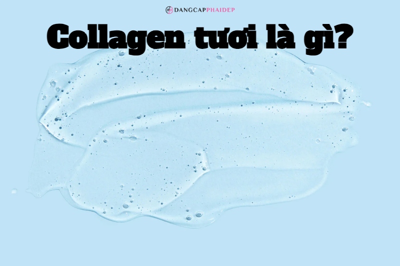 Tác dụng của collagen tươi có thực sự thần thánh không?