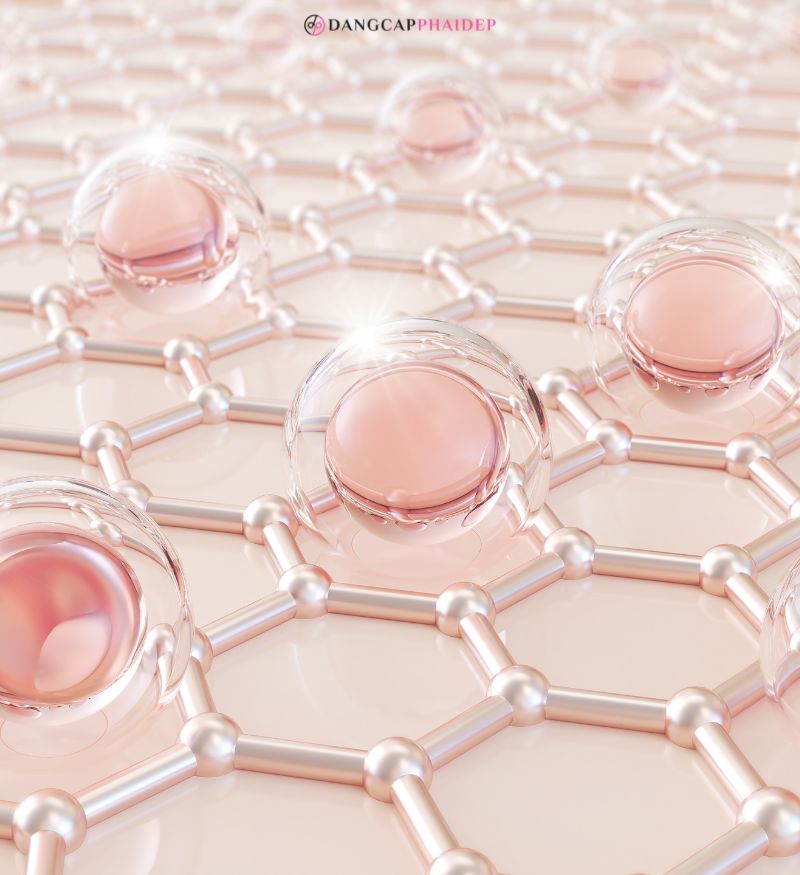 Hiểu đúng về collagen và những lợi ích đối với cơ thể.