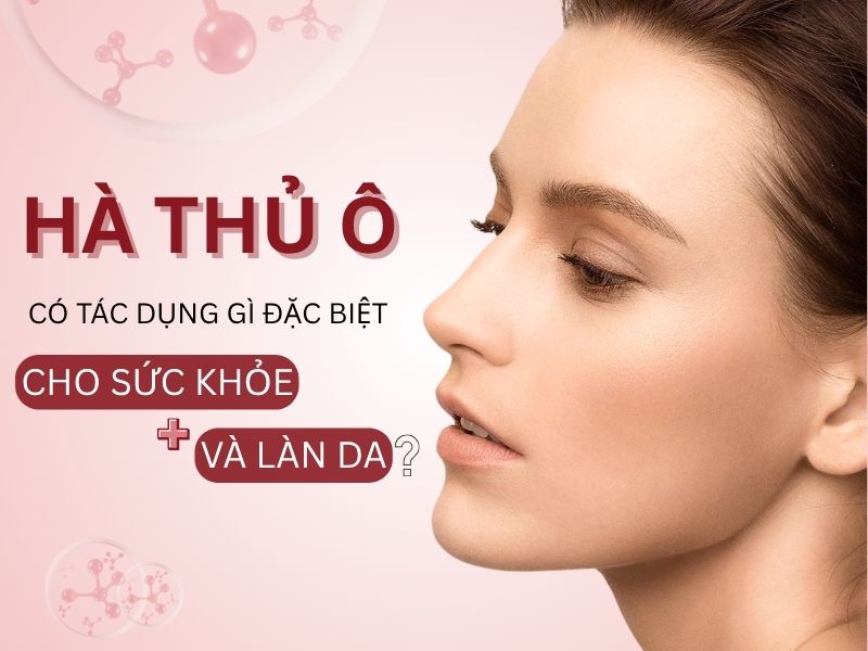 Hà thủ ô có tác dụng gì với sức khỏe và làn da?