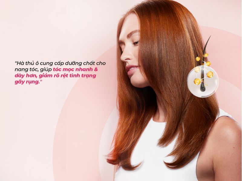 Hà thủ ô kích thích mọc tóc từ gốc