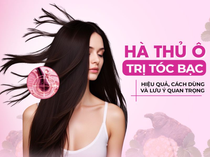 Hà Thủ ô trị tóc bạc, hiệu quả, cách dùng và lưu ý quan trọng