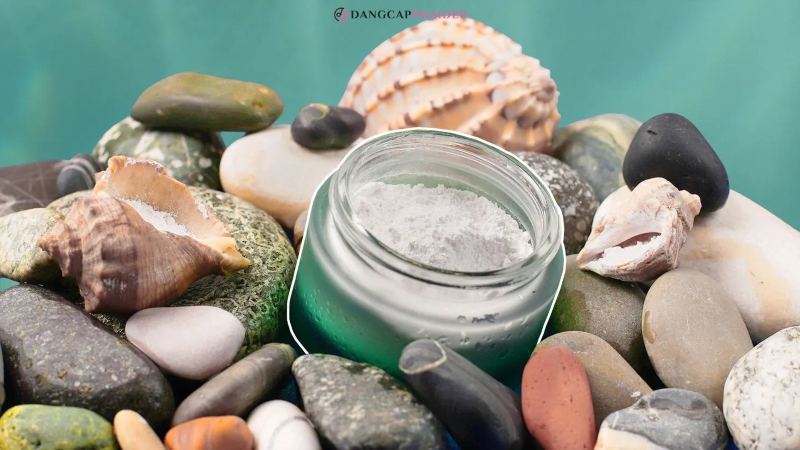 Marine collagen là gì? Có thể tìm thấy loại collagen này ở đâu?