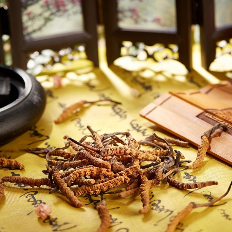 Đông trùng hạ thảo có rất nhiều thành phần dinh dưỡng có lợi với người bệnh thận.