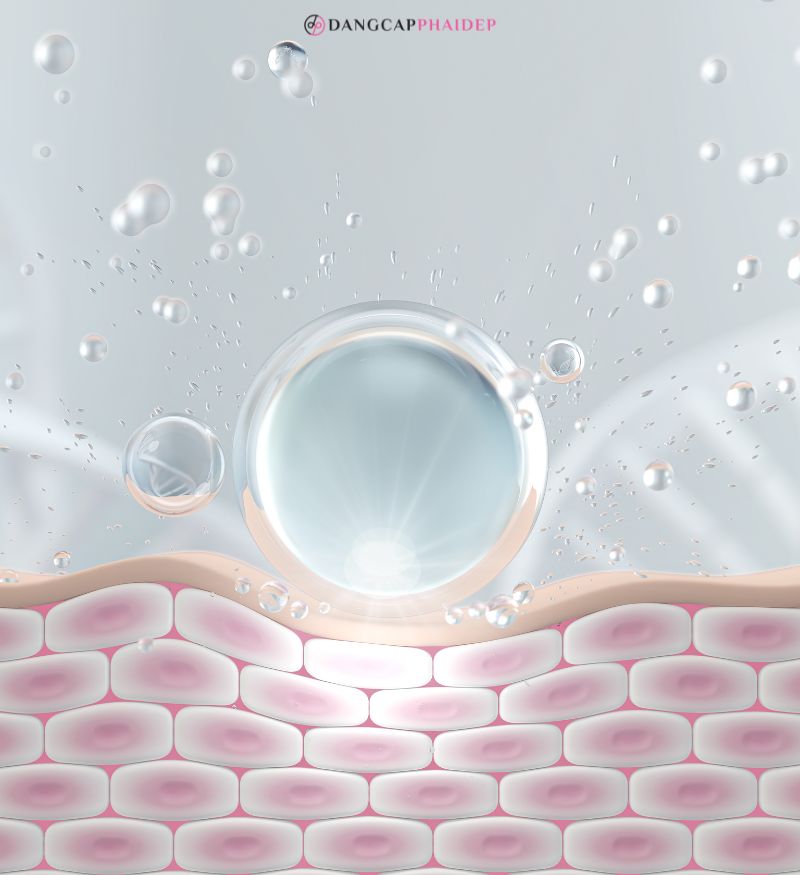 Collagen cần thiết để duy trì một sức khỏe tốt, một làn da căng trẻ.